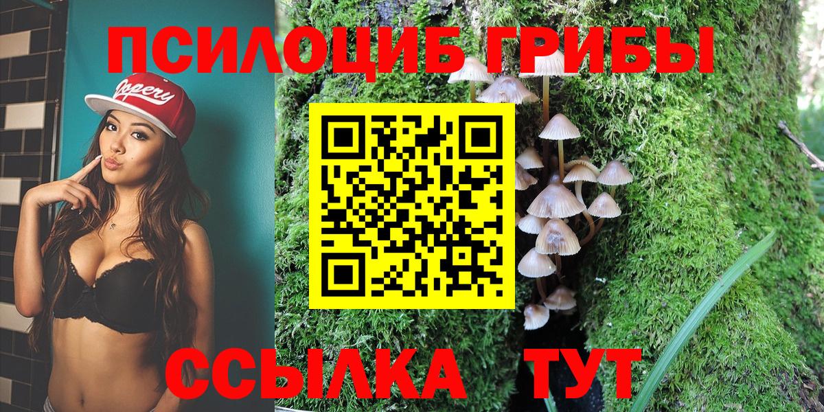 Псилоцибиновые грибы Psilocybe  Псилоцибиновые грибы мухоморы  Новомосковск  Вход с VPN 