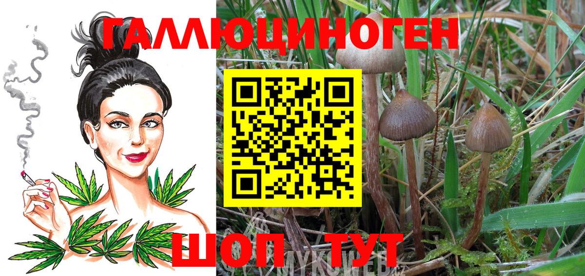 Галлюциногенные грибы мухоморы Новомосковск